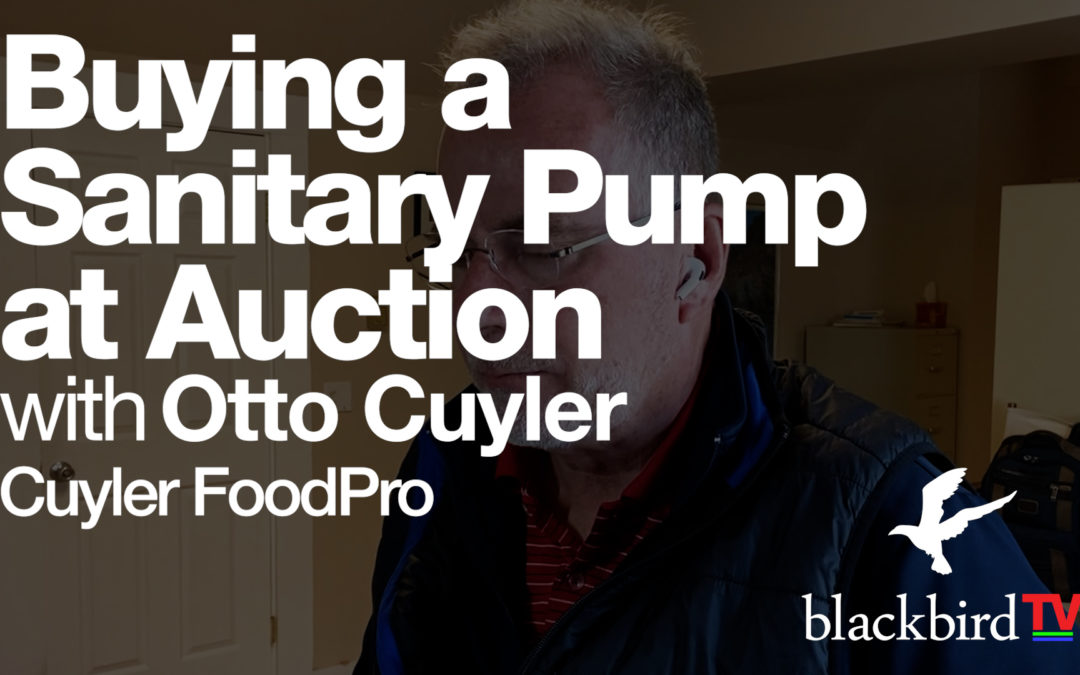 Buying Positive Displacement Pumps at Auction